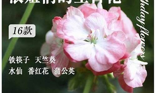 哪个算命网站更准