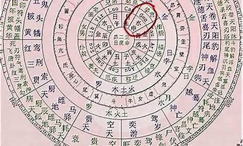 哪个网站算命很准的