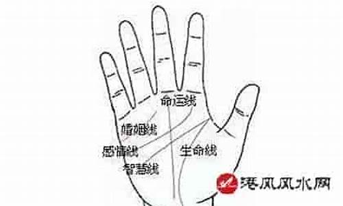 关于解梦和算命的网站