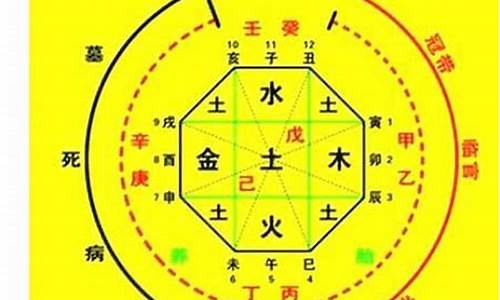 有专业一点的算命网站吗