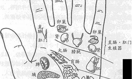 网上算命最准的网站是哪个