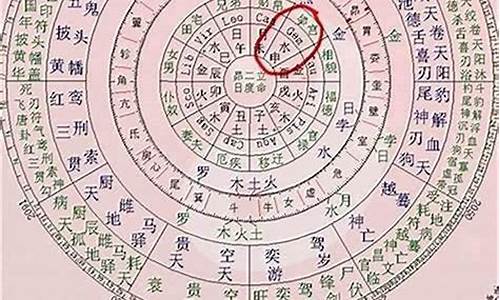 网上哪个大师算命准