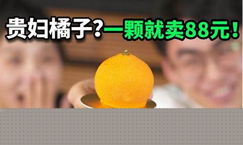 哪个网算卦最准
