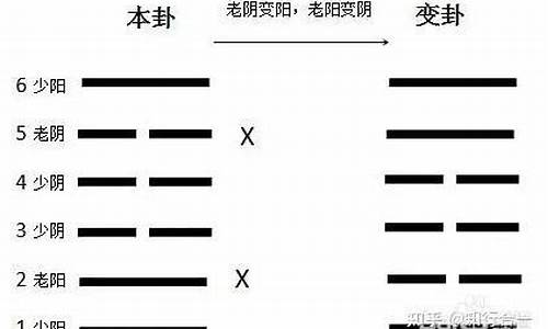 哪个网络平台可以算命