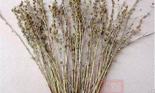 八字算命那个网站权威
