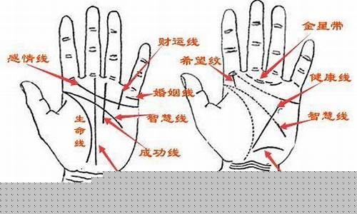 网上算命的有什么网站可靠的