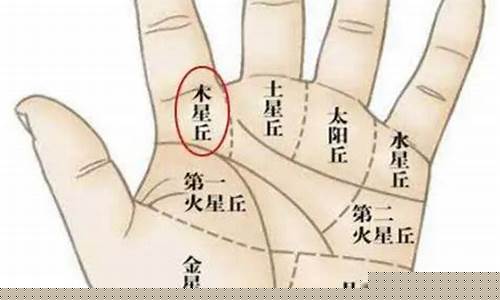 网上算命最准的网站推荐