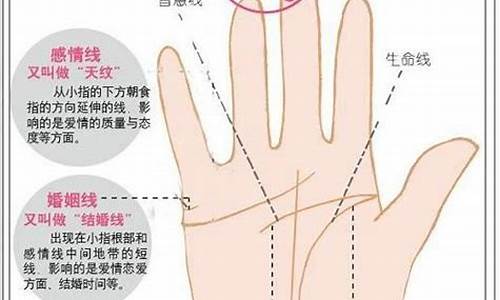 算命最准的网站推荐