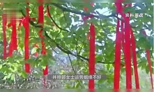 算命最准的网站是