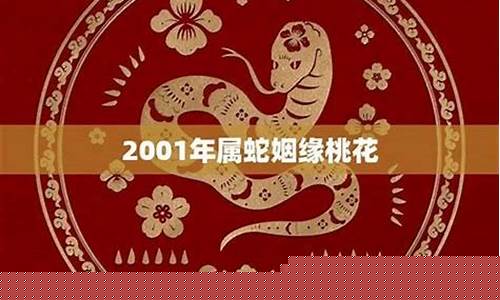 哪个算卦网站好一些
