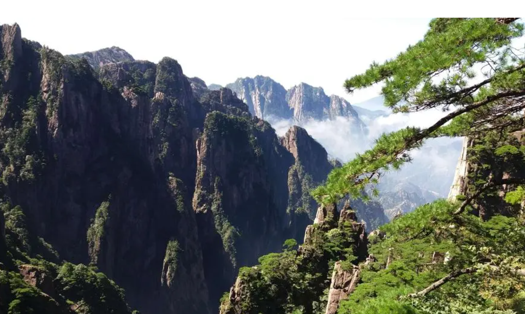 算命大师在线咨询