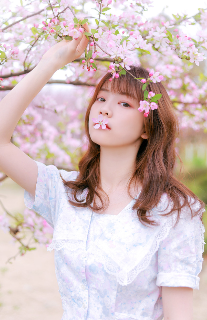 命理网