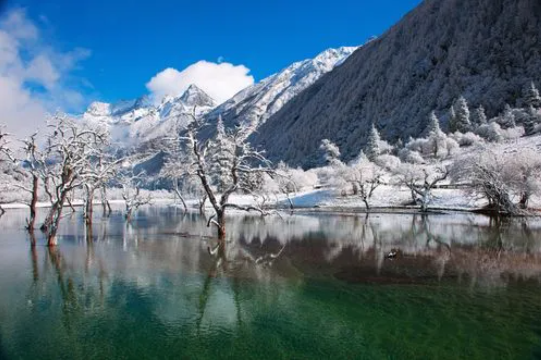 财运风水