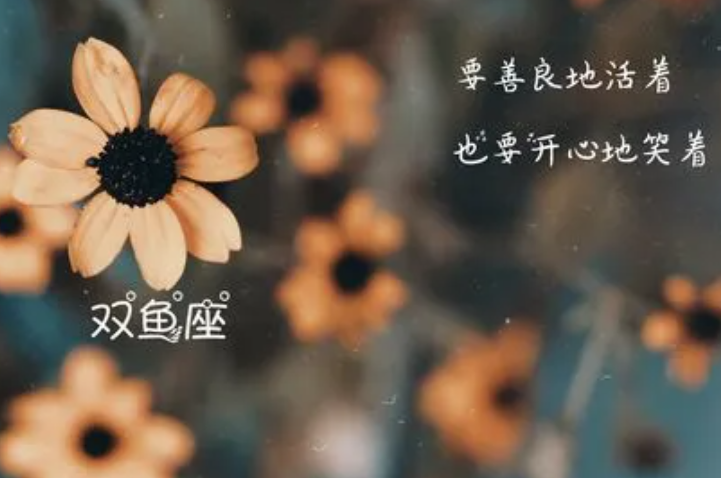 算命财运