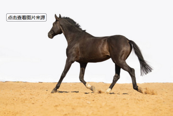 哪个算命网站内容比较全
